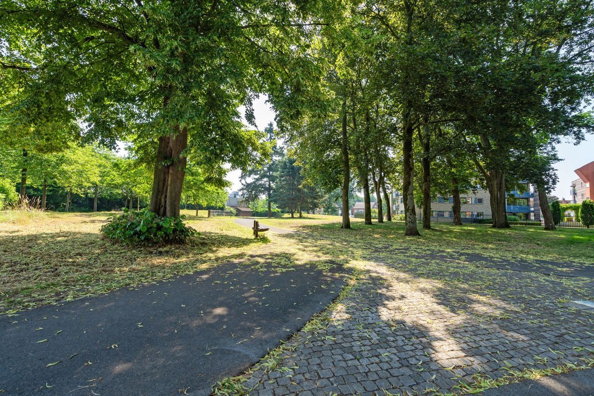 Groene Woud 32 Photo Blur 55