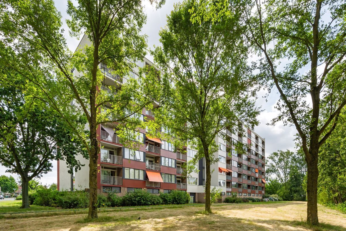 Lelystraat Photo Blur 34