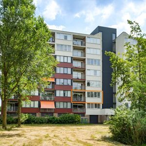 Lelystraat Photo 4