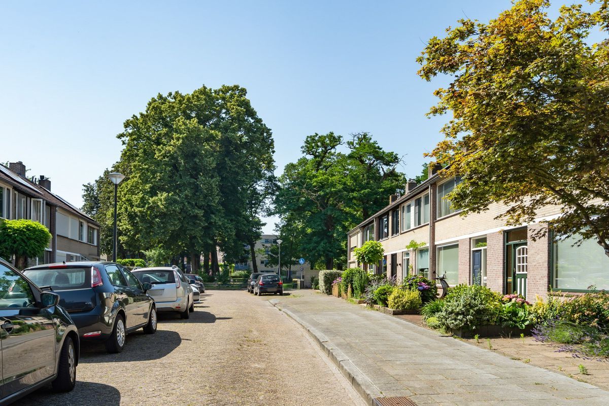 Groene Woud 32 Photo Blur 53