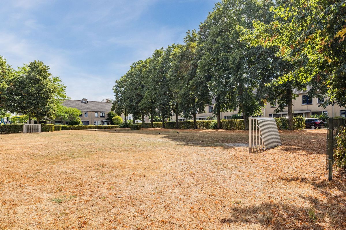 Denethor 16 Photo Blur 60