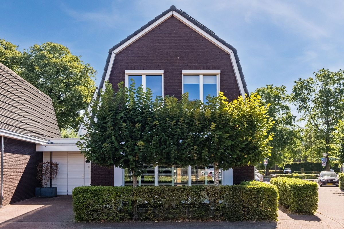 Dokter Kochstraat 8 Photo Blur 3