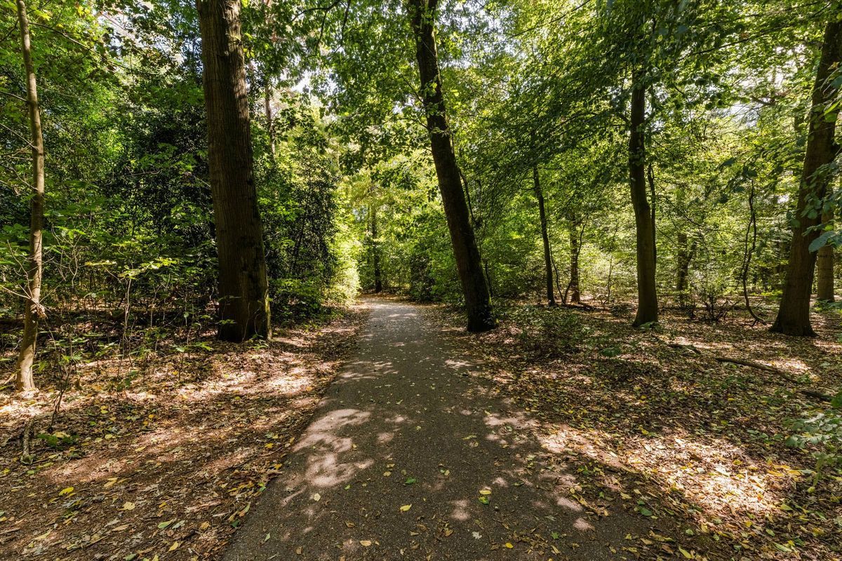 Zwartvenseweg 98 Photo Blur 34