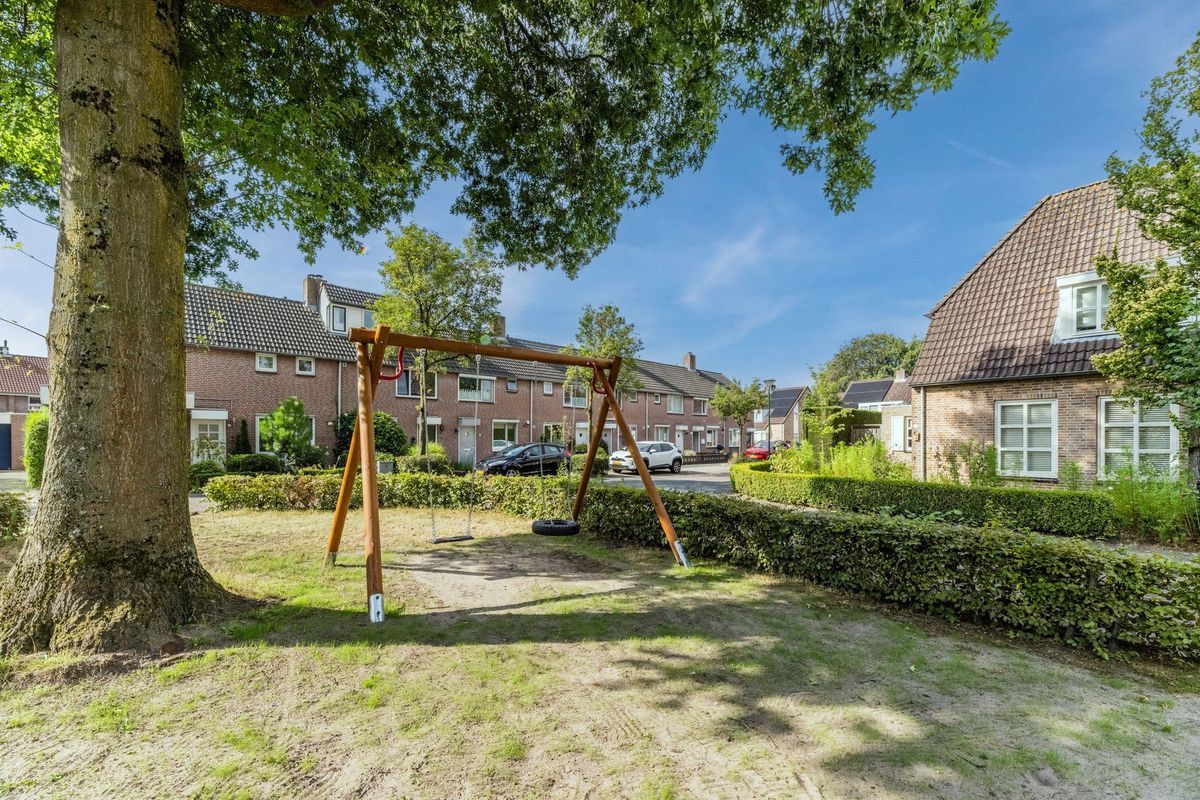 Scholverbos 4 Photo Blur 32