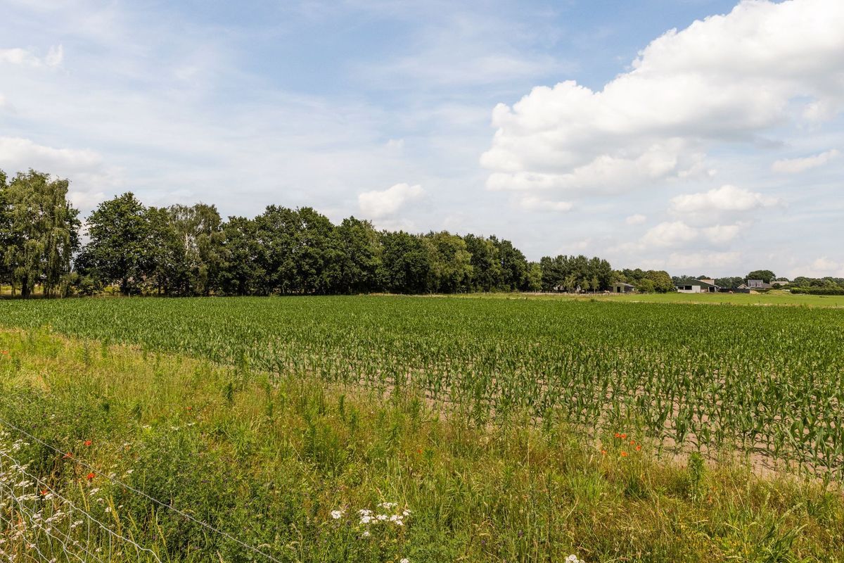 Wilgenplantsoen 18 Photo Blur 43
