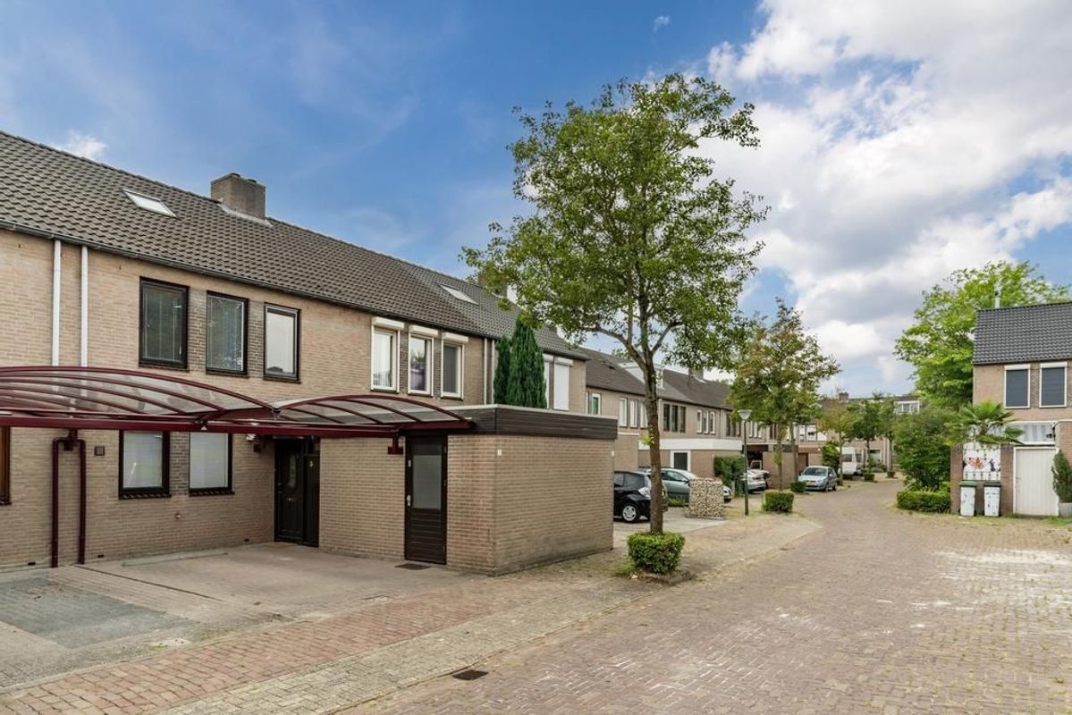 Schutsboom 3 Photo Blur 40