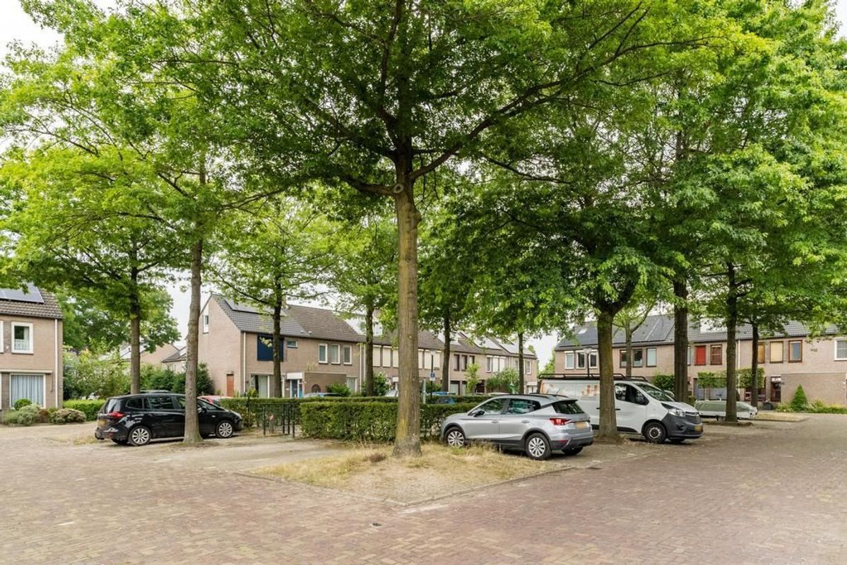 Schutsboom 3 Photo Blur 42