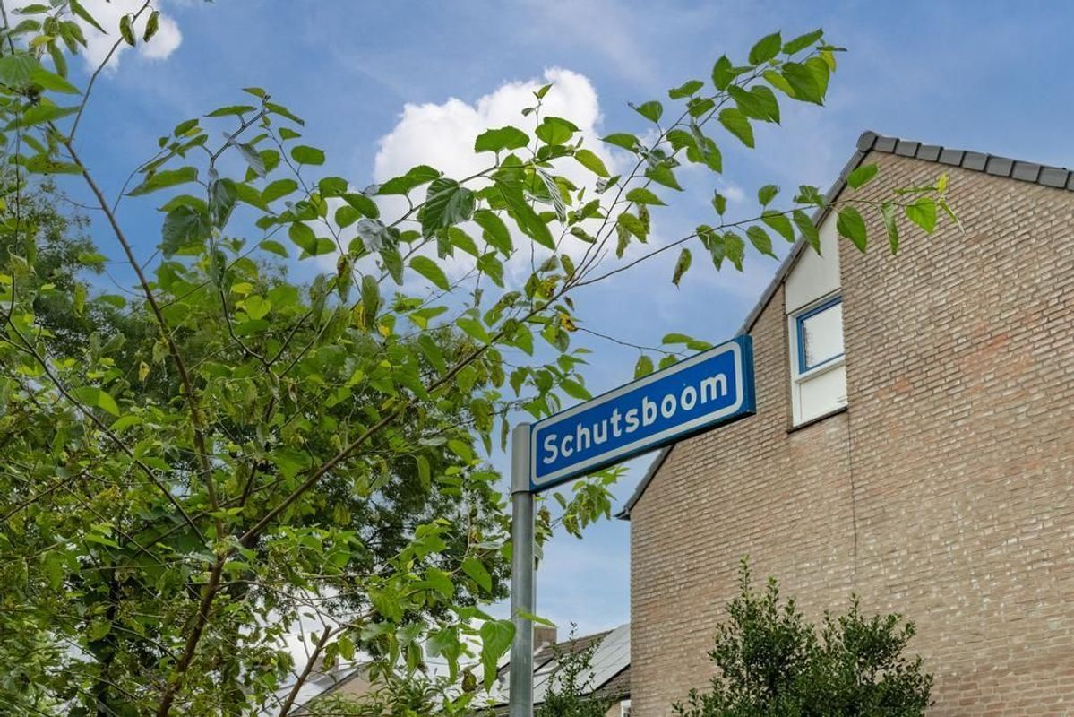 Schutsboom 3 Photo Blur 44
