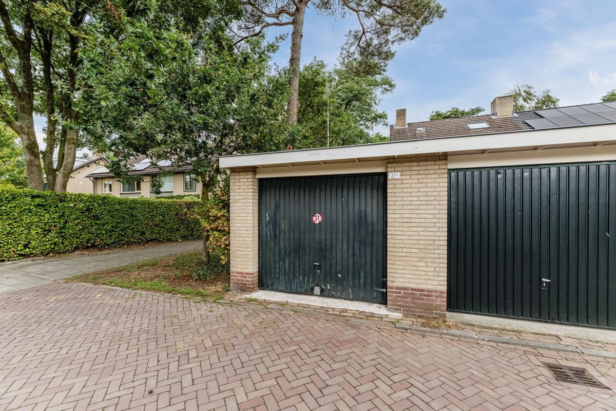 van Bossehof 15 Photo Blur 22
