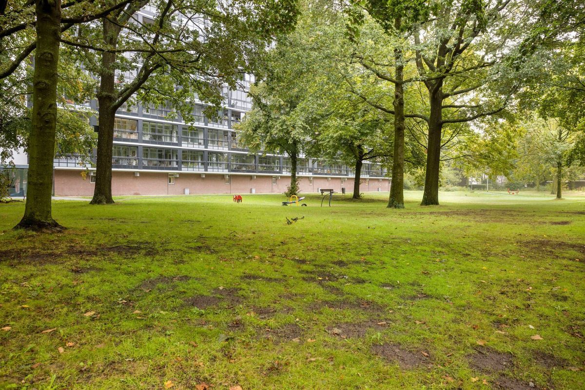 Mozartlaan 547 Photo Blur 25