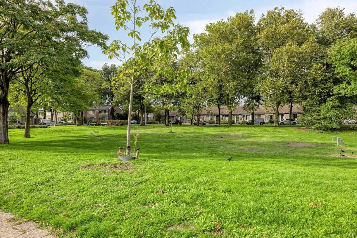 van Hogendorpstraat 6 Photo Blur 41