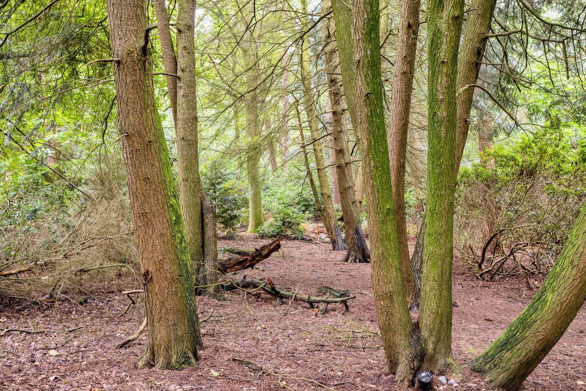 Zwartvenseweg 108 Photo Blur 24