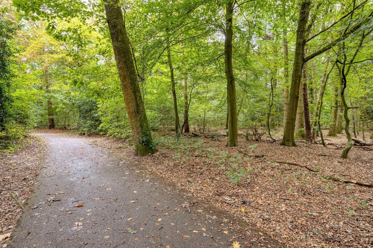 Zwartvenseweg 108 Photo Blur 23