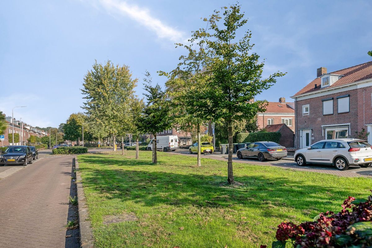Oude Hilvarenbeekseweg 32 Photo Blur 42