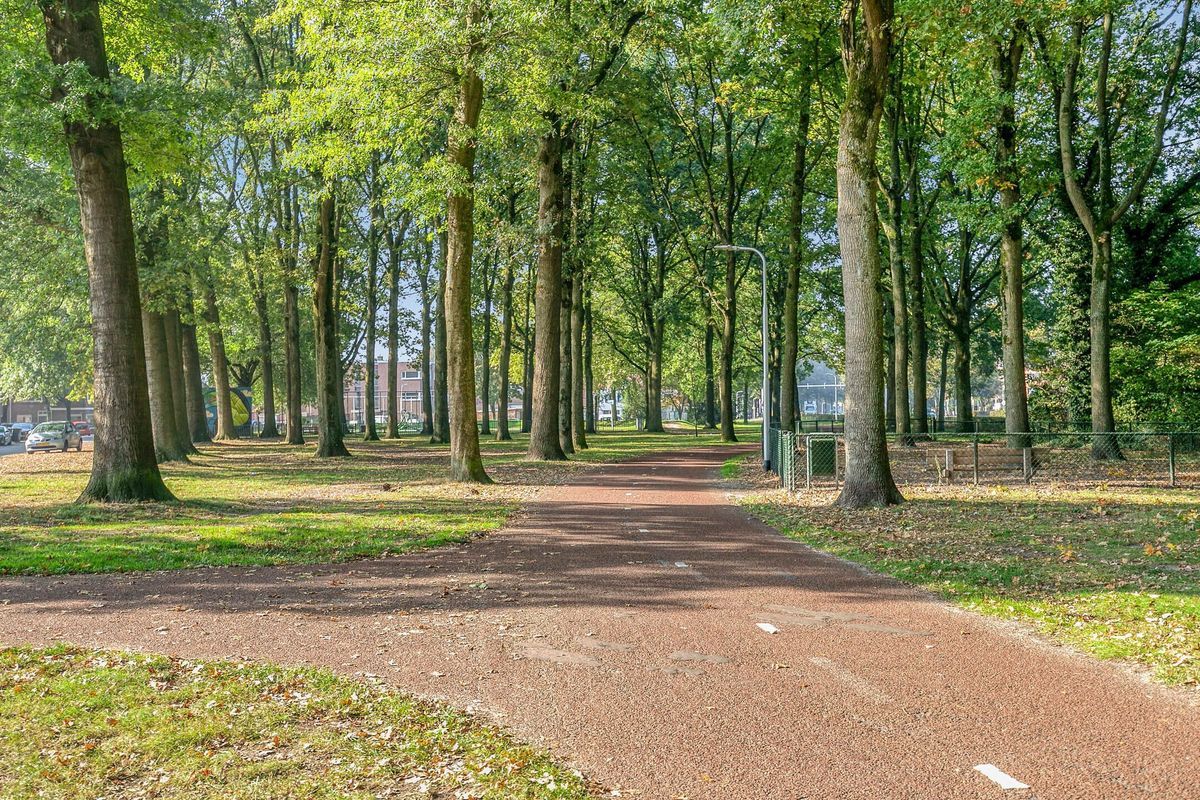 Oude Hilvarenbeekseweg 32 Photo Blur 43