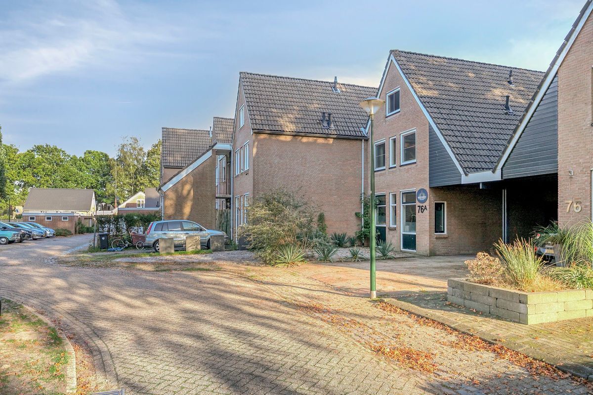Schutsboom 76 - A Photo Blur 42