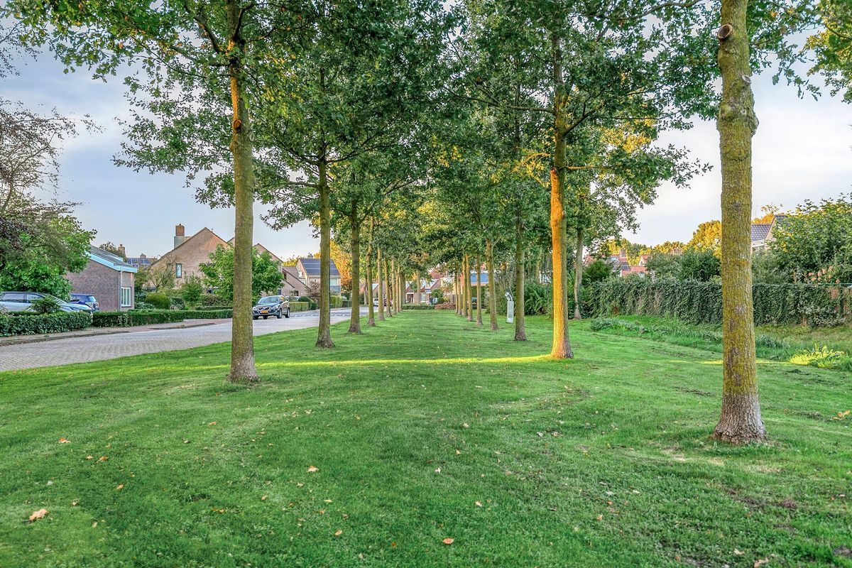 Schutsboom 76 - A Photo Blur 46