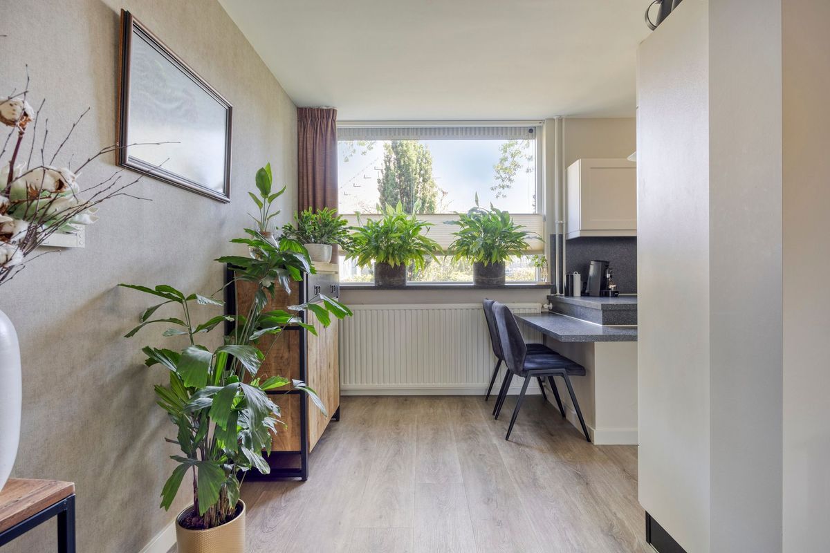 Hoeksestraat 40 Photo Blur 19