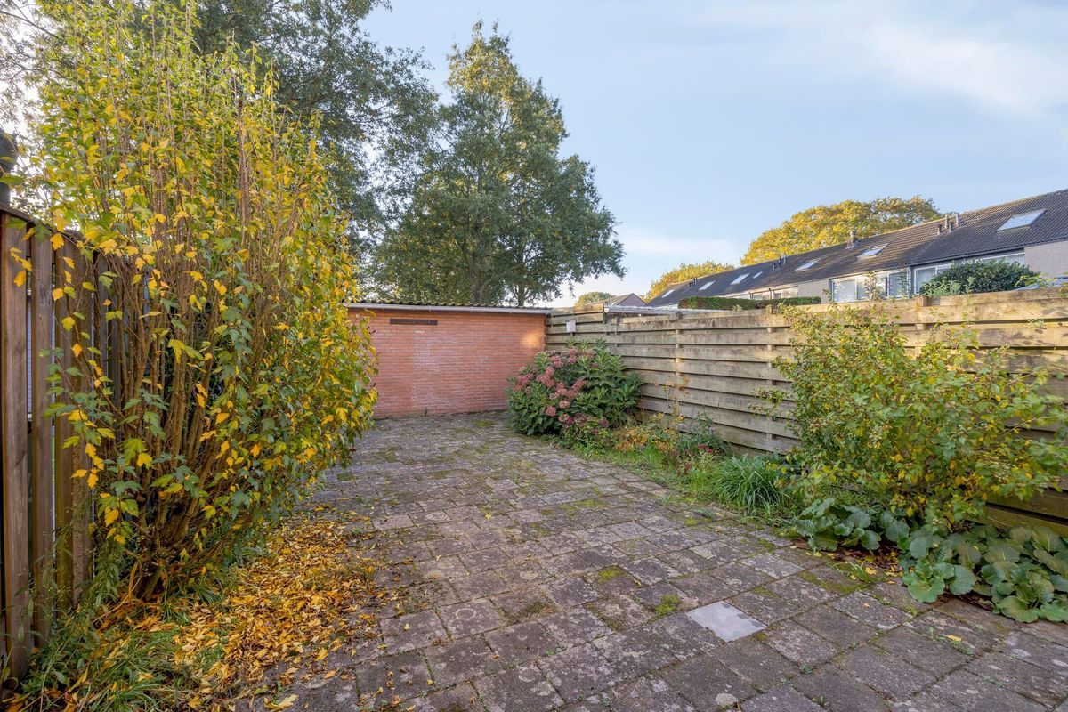 van Hogendorpstraat 70 Photo Blur 15