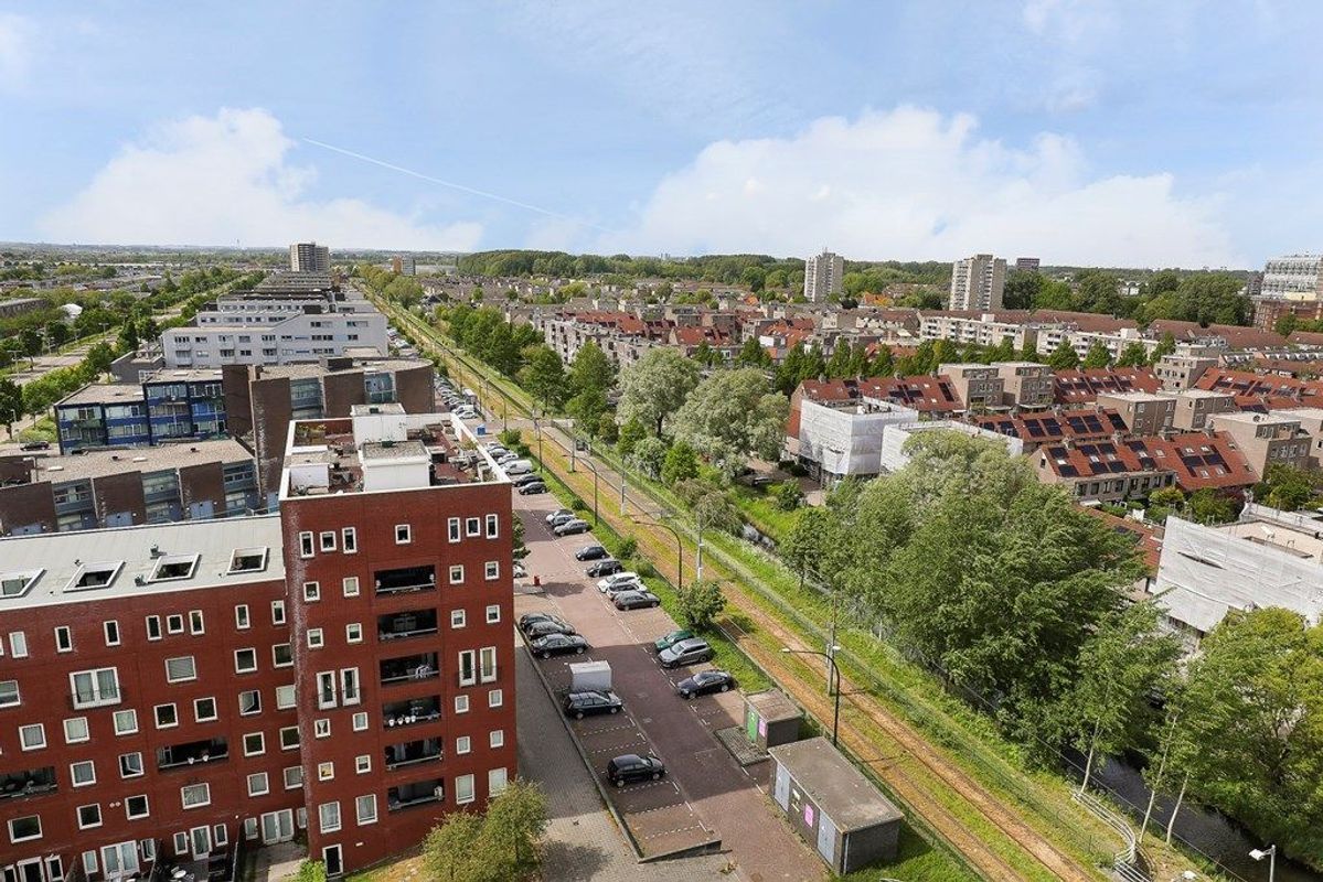 Ecuplein 49 Photo Blur 22