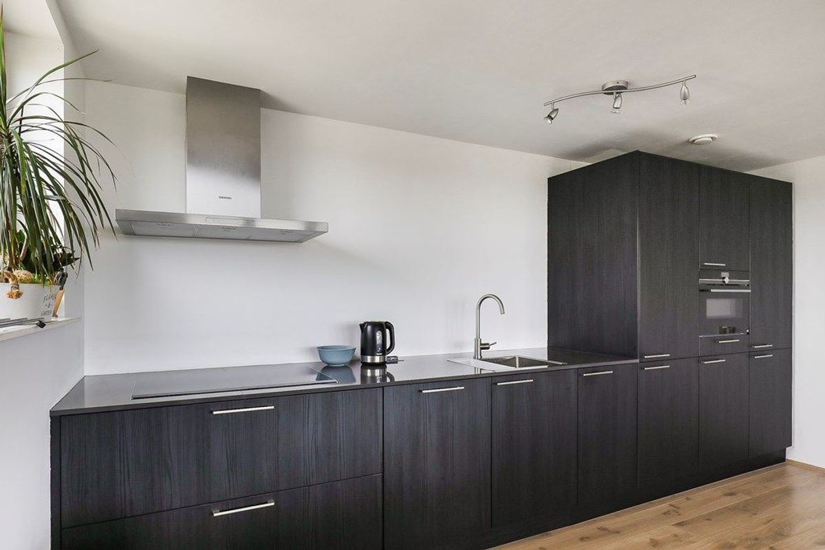 Ecuplein 49 Photo Blur 15