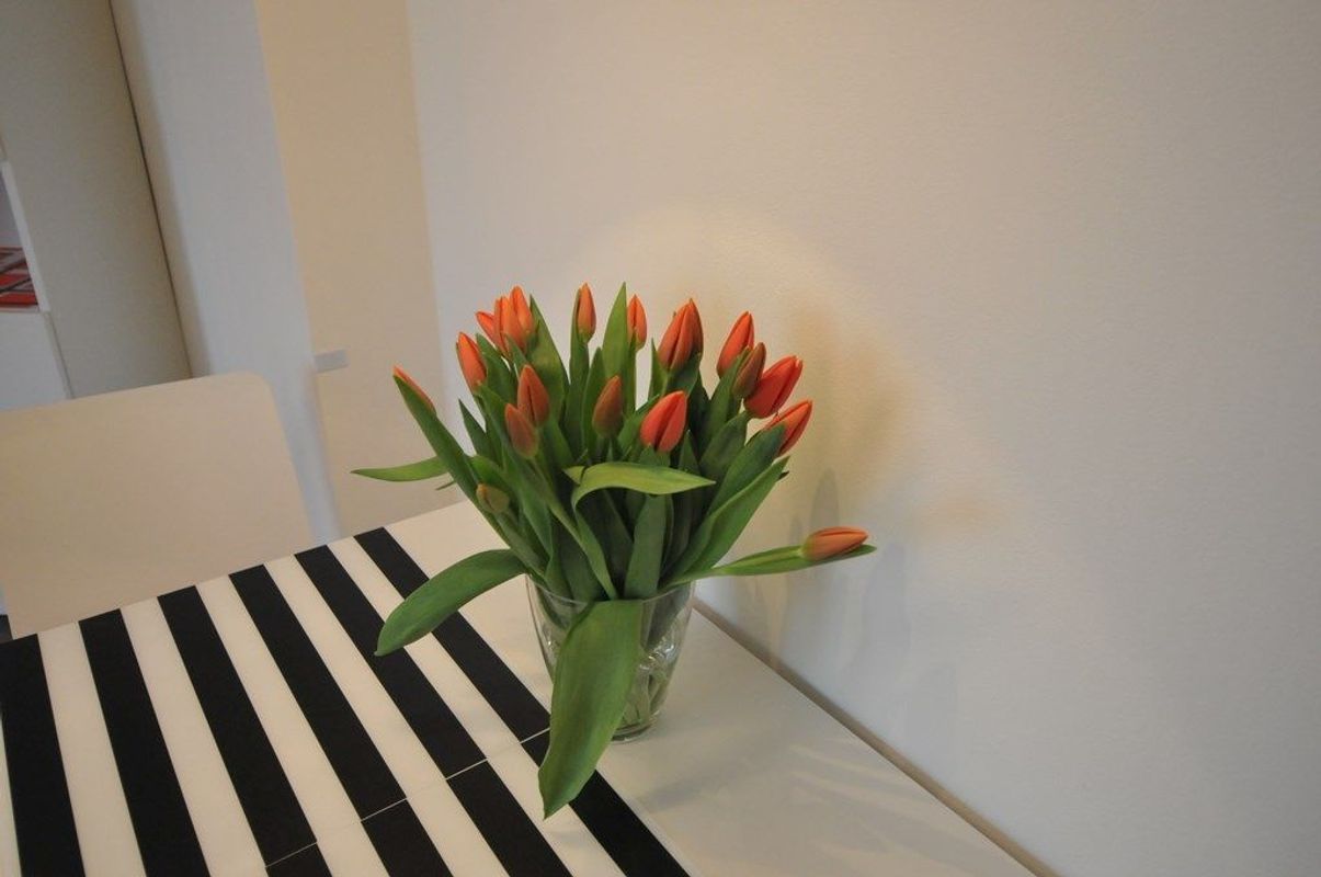 Schotlandstraat 122 Photo Blur 6