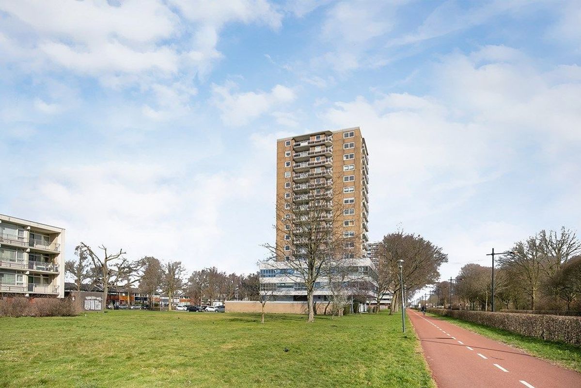 Robert Kochlaan 338 Photo Blur 23