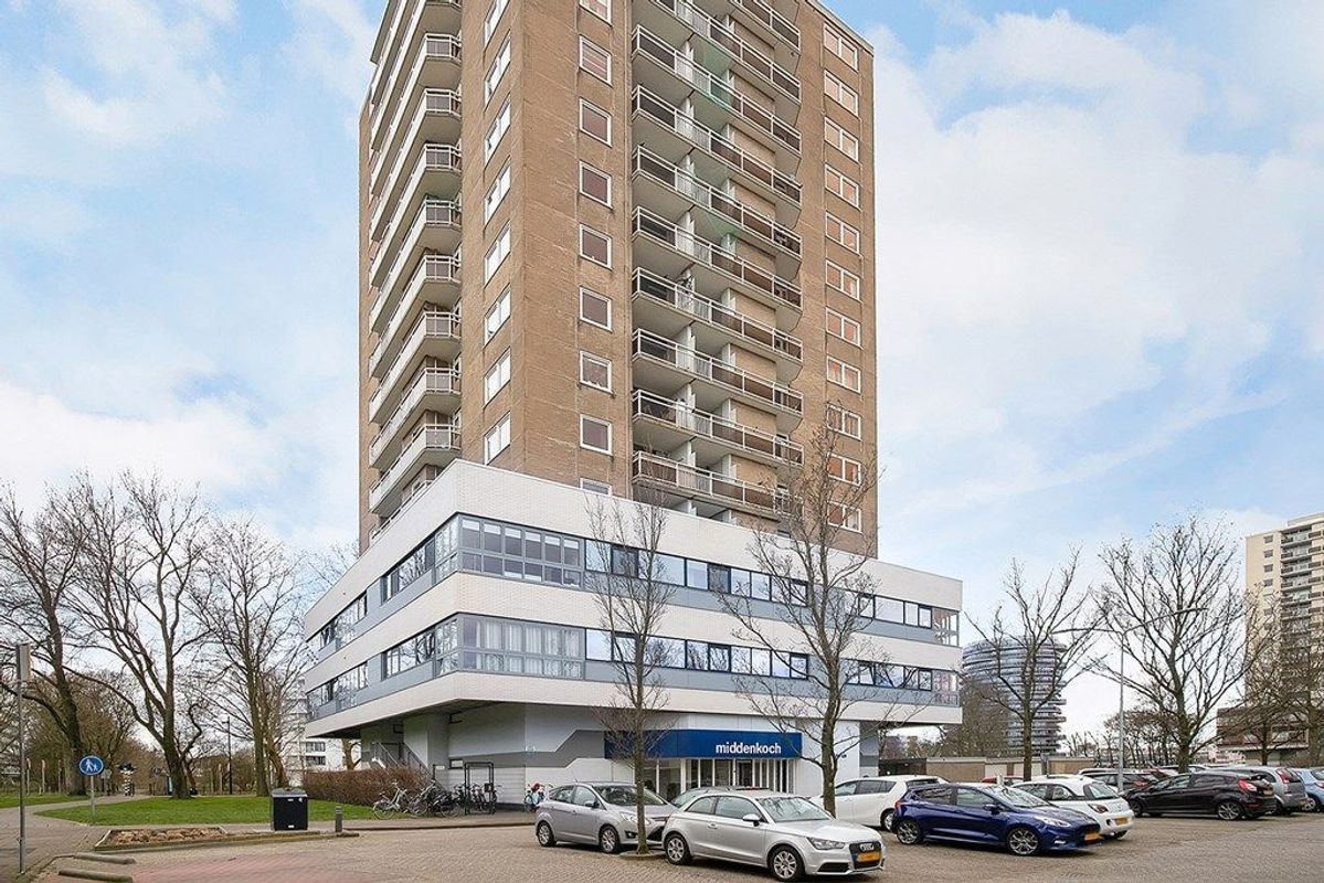 Robert Kochlaan 338 Photo Blur 0