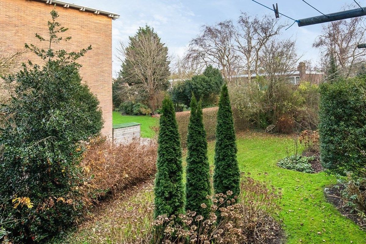 Karel Doormanlaan 132 Photo Blur 27