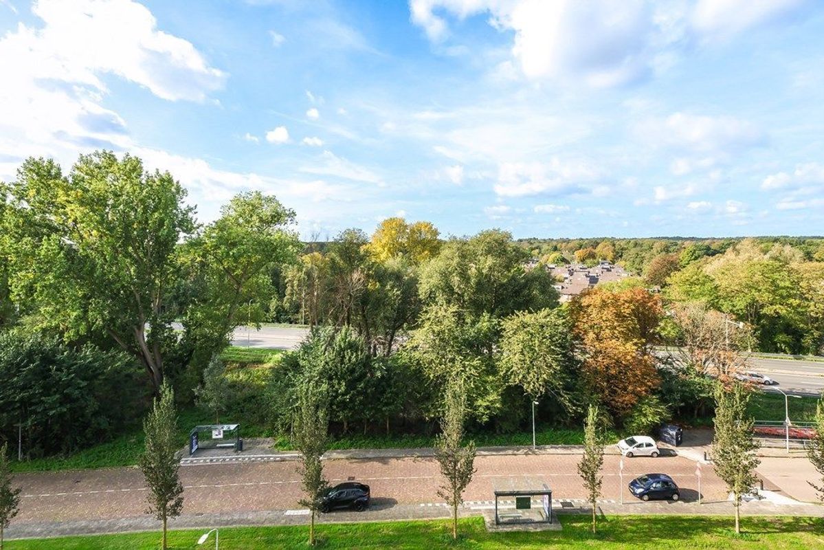 Van Leeuwenhoekstraat Hoog 5-70 Photo Blur 26