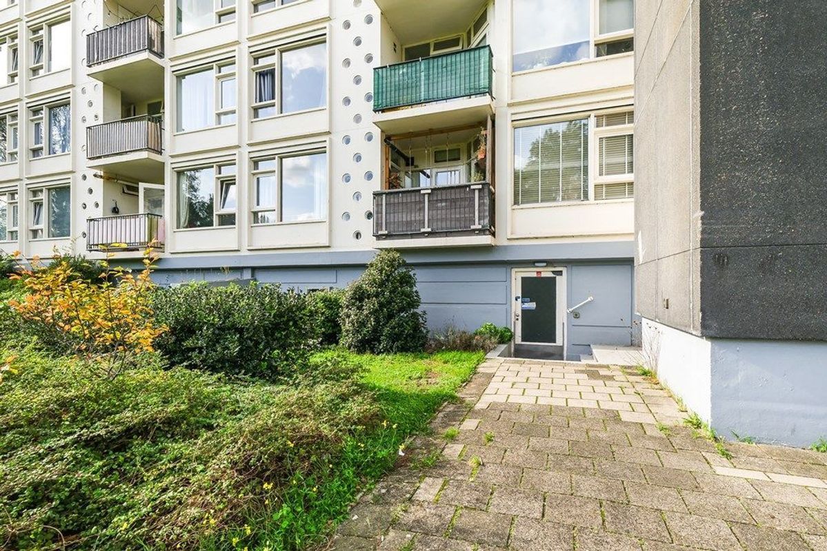 Van Leeuwenhoekstraat Hoog 5-70 Photo Blur 27