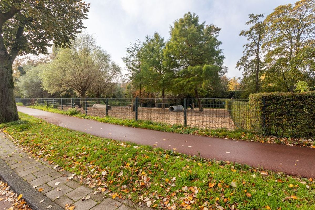 Kamperfoeliestraat 131 Photo Blur 32