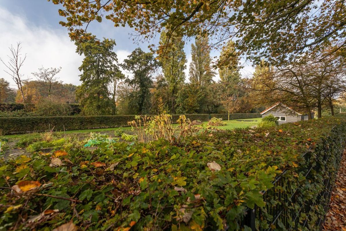 Kamperfoeliestraat 131 Photo Blur 34