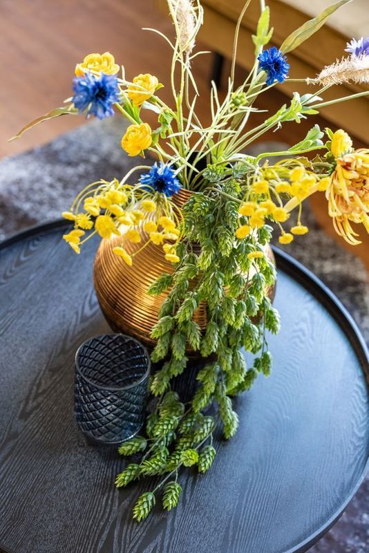 Laan van Meerdervoort 210A Photo Blur 10