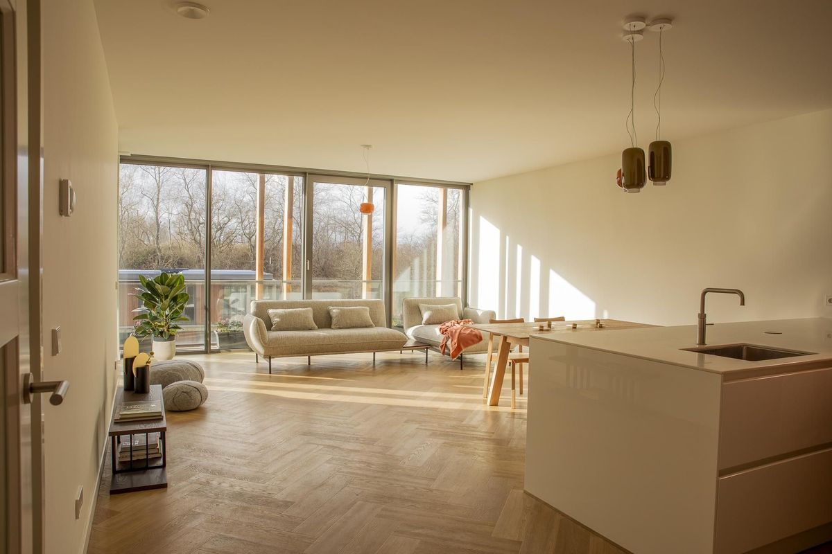 Duinvallei 60 Photo Blur 0