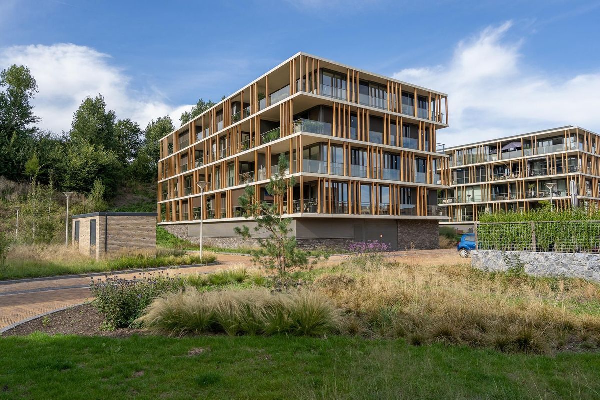 Duinvallei 60 Photo Blur 13