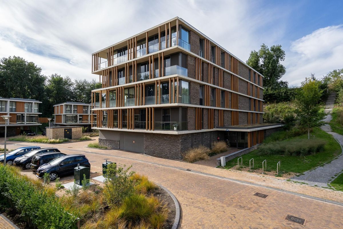 Duinvallei 60 Photo Blur 17