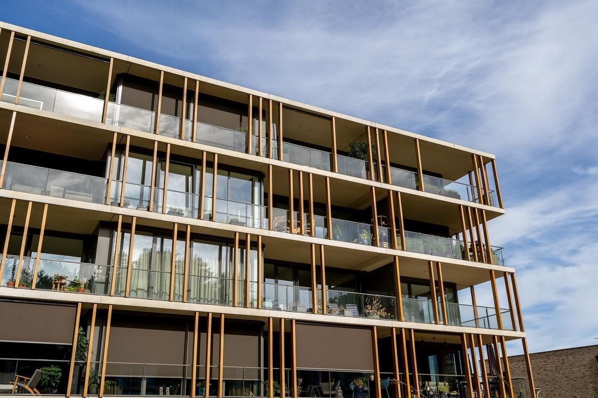 Duinvallei 60 Photo Blur 16