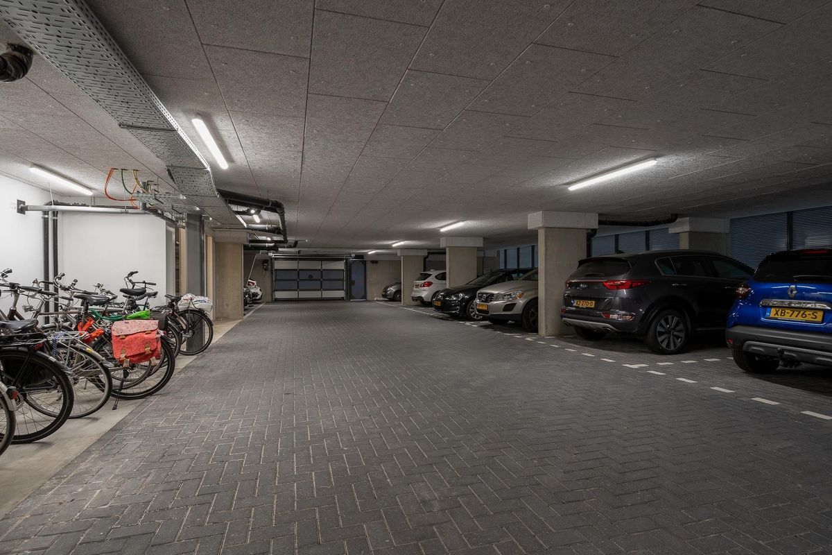 Duinvallei 60 Photo Blur 19