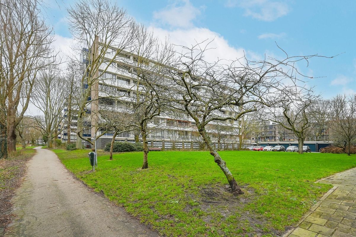 Vlaskamp 256 Photo Blur 26