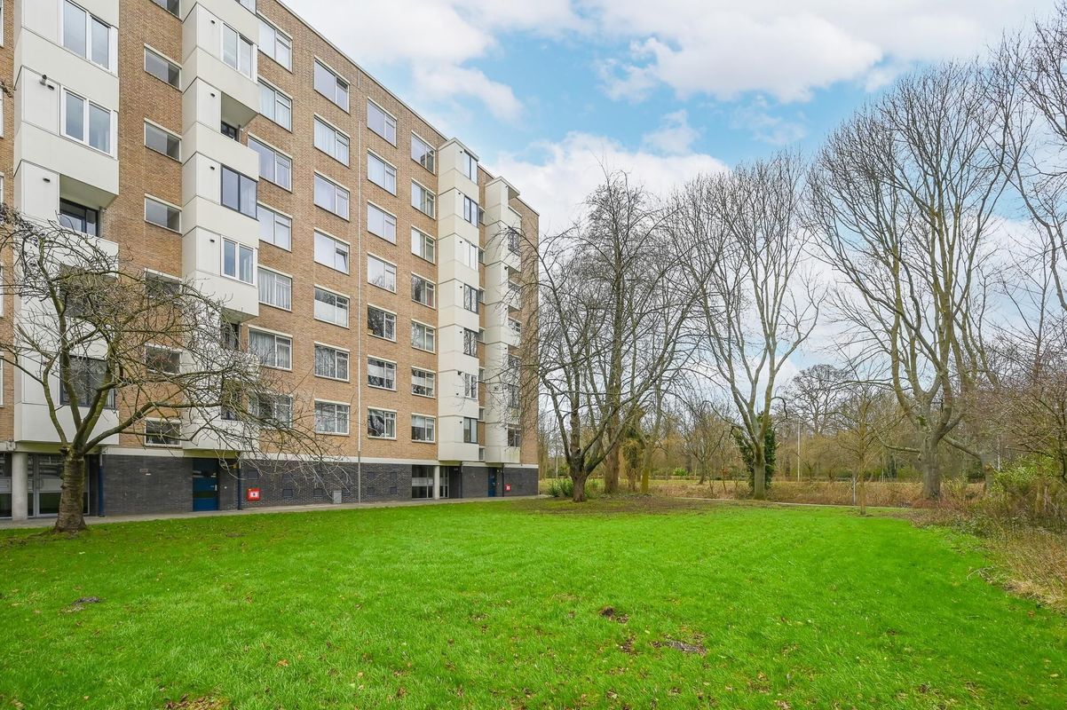 Vlaskamp 256 Photo Blur 28