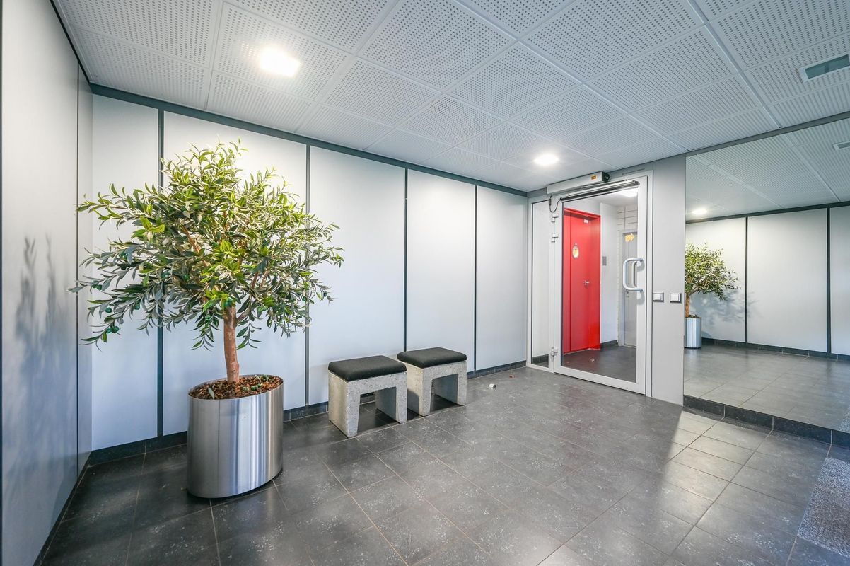 Vlaskamp 256 Photo Blur 24