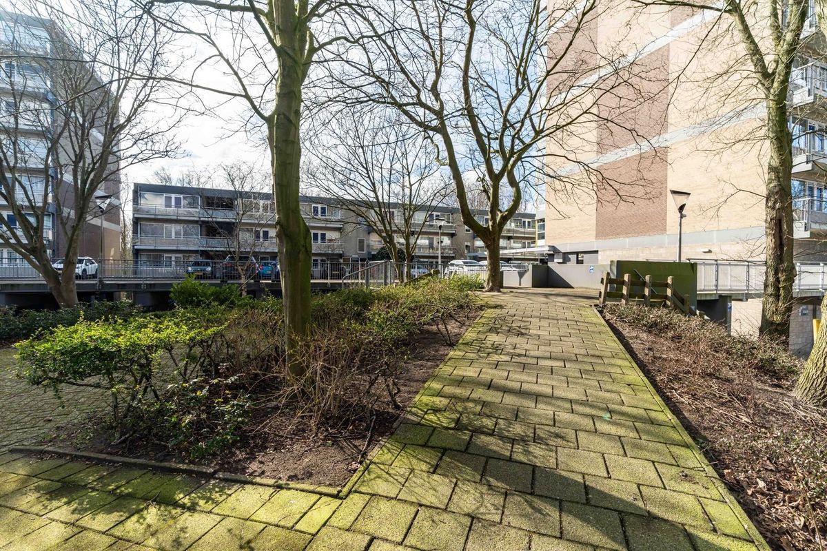 De Brink 300 Photo Blur 12