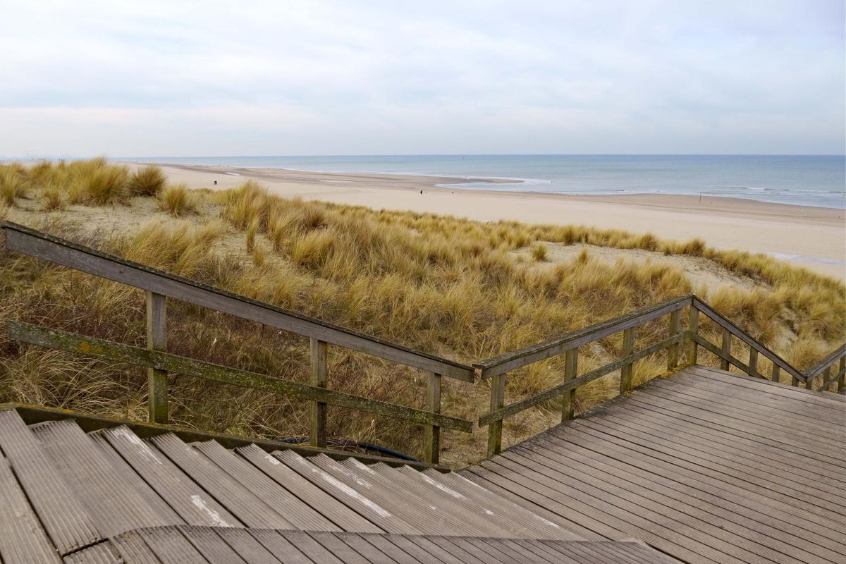 Godetiaweg 37 Photo Blur 17