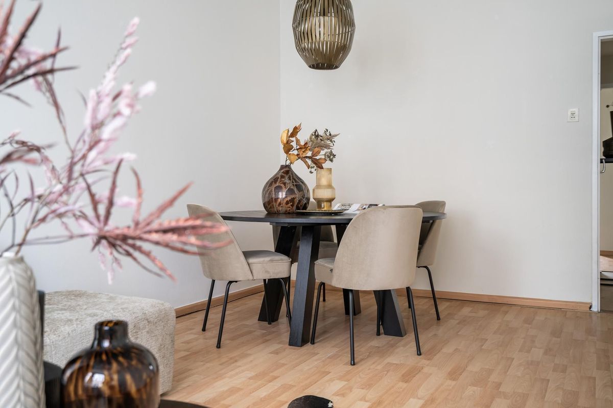 Van Aerssenstraat 182 Photo Blur 2