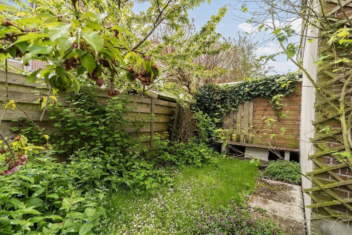 Van Aerssenstraat 182 Photo Blur 6