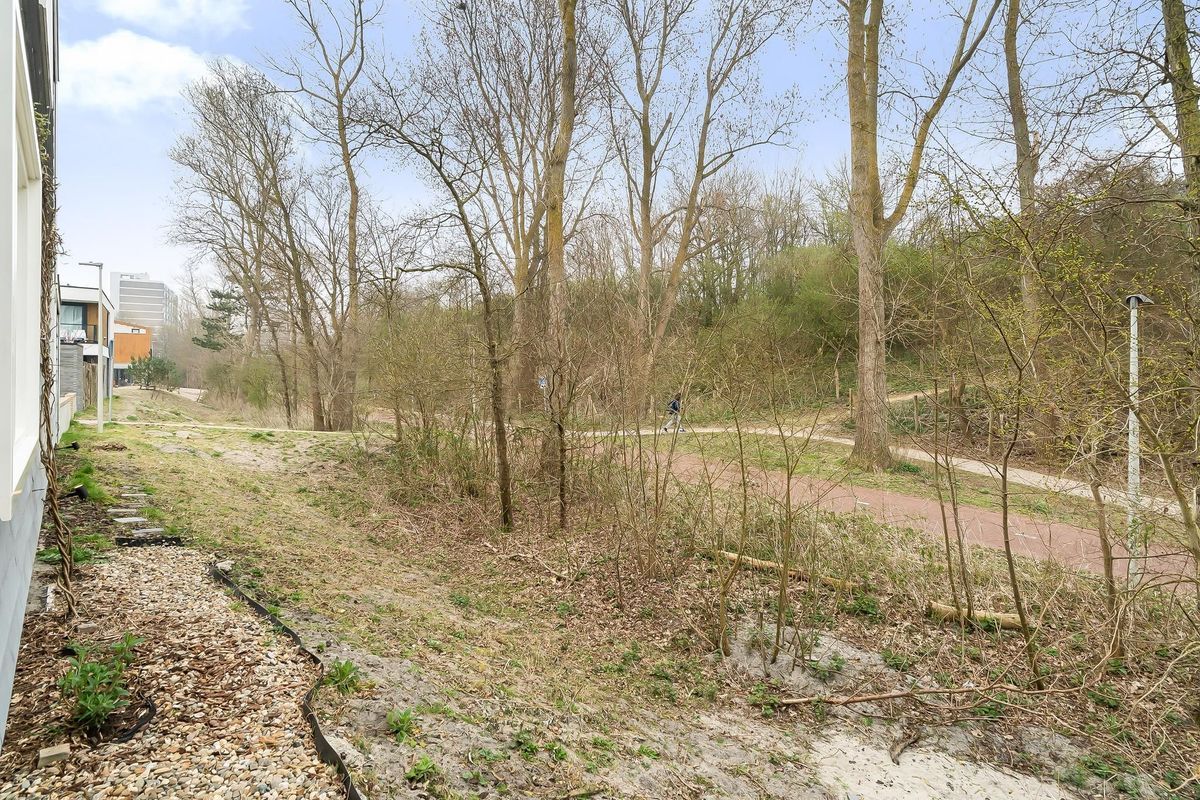 Duinslag 53 Photo Blur 33