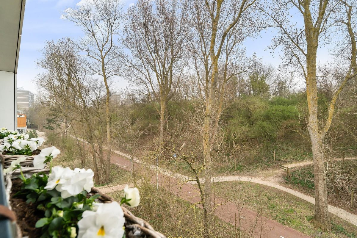 Duinslag 53 Photo Blur 32