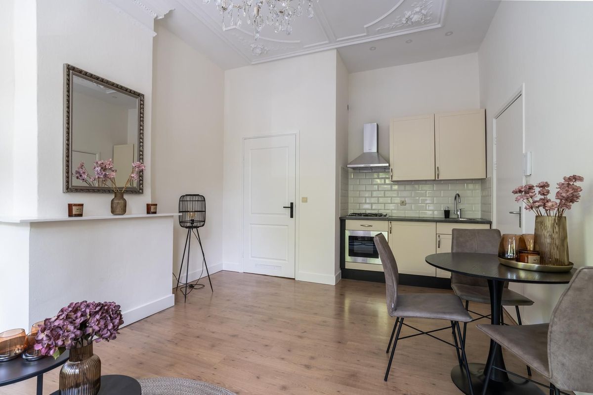 Regentesselaan 136 Photo Blur 4