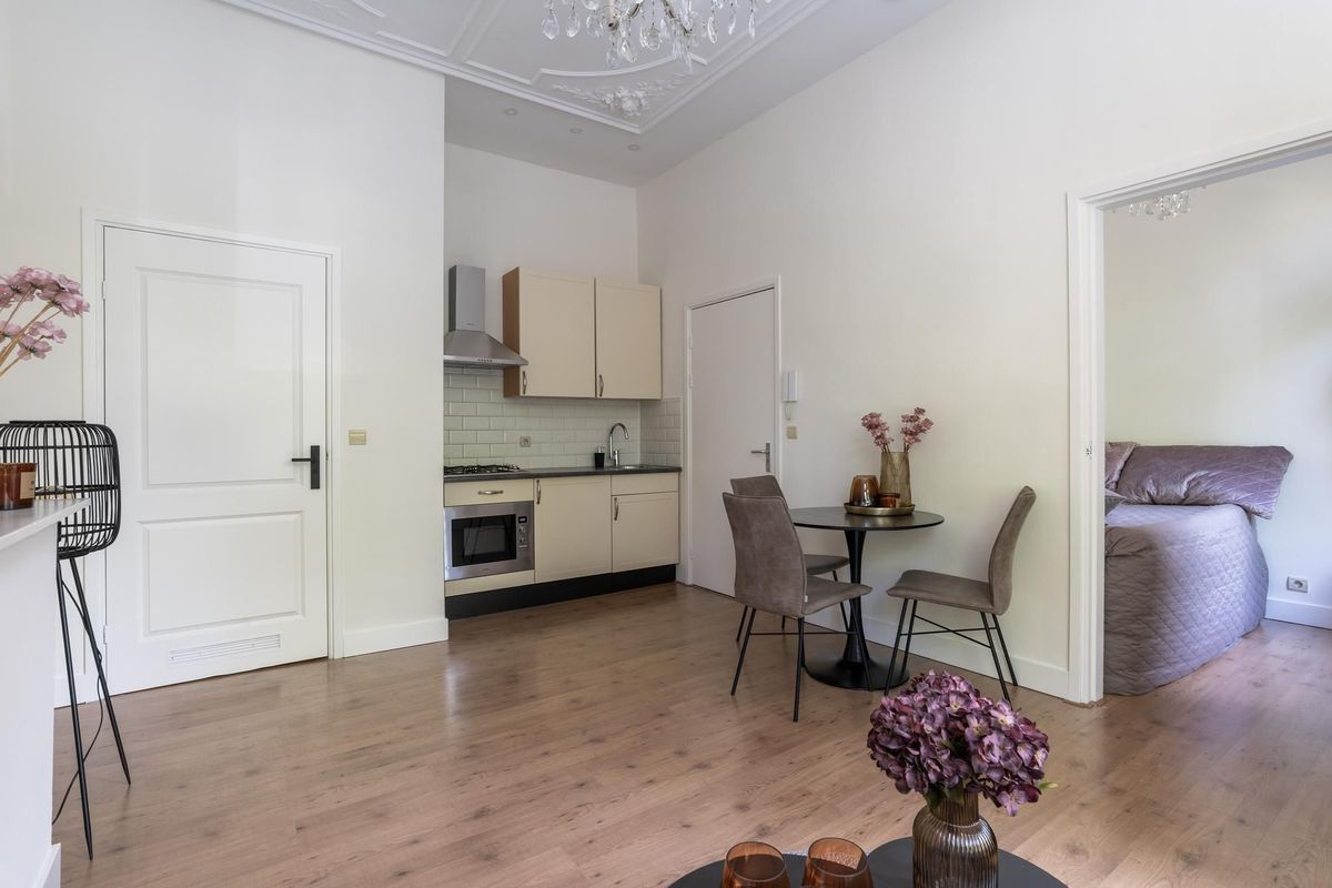 Regentesselaan 136 Photo Blur 5